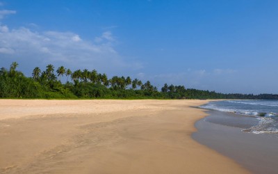 Những địa điểm du lịch Bentota Sri Lanka: Khám phá thiên đường nghỉ dưỡng bên Ấn Độ Dương