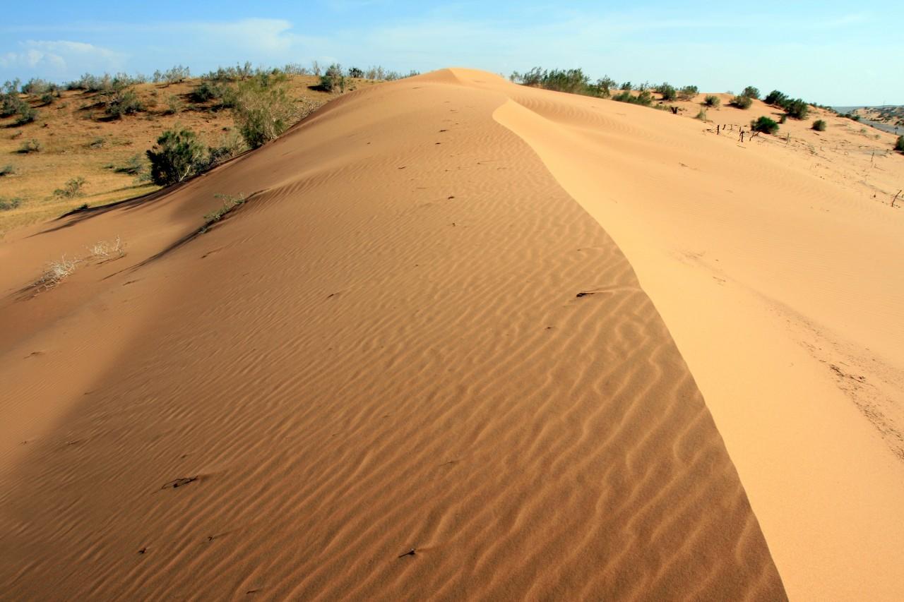 Sa mạc Kyzylkum – Khám phá miền cát đỏ kỳ thú của Uzbekistan