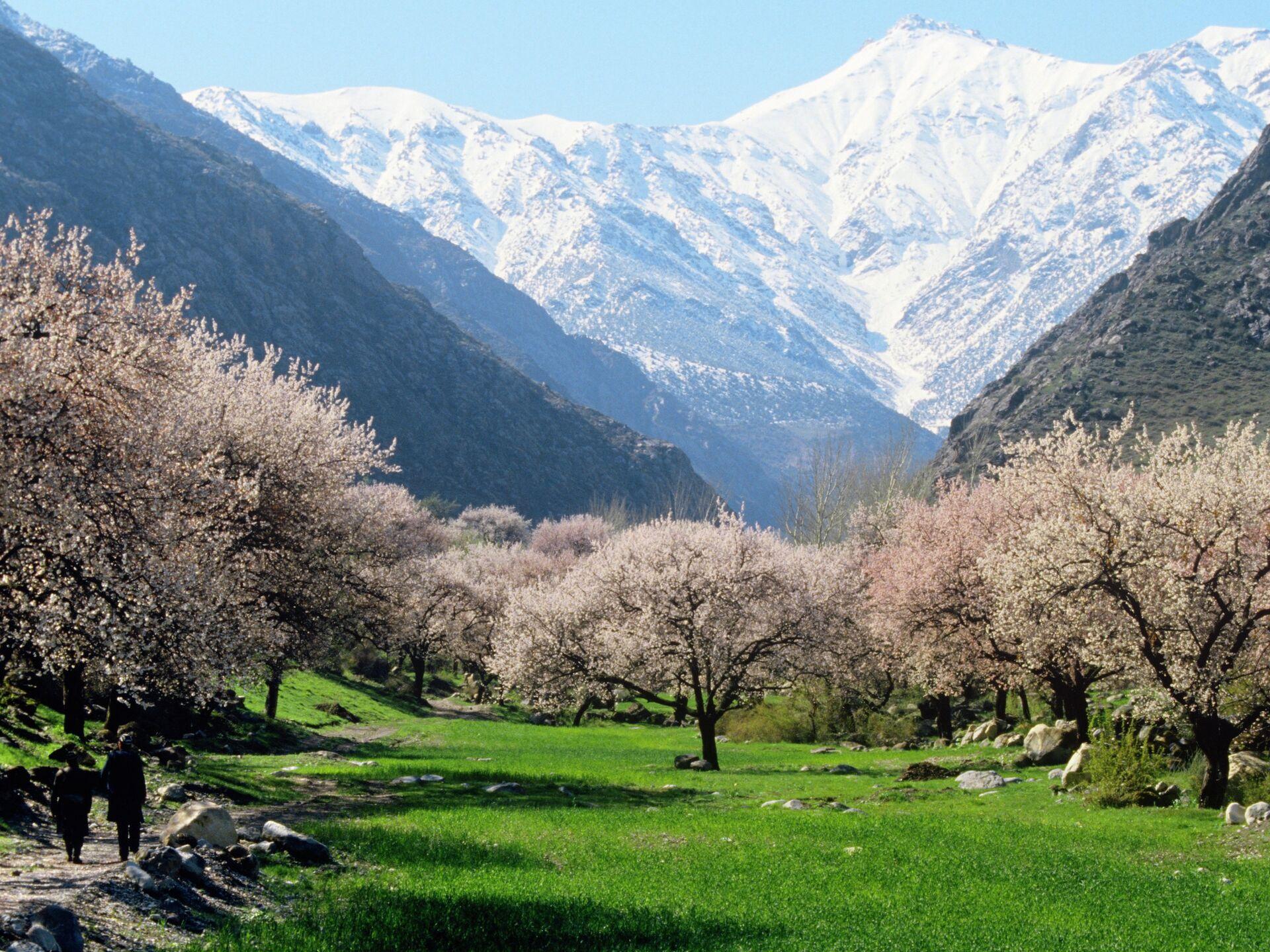 Thời điểm lý tưởng đi du lịch Tajikistan