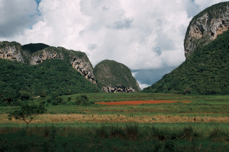 hinhanh