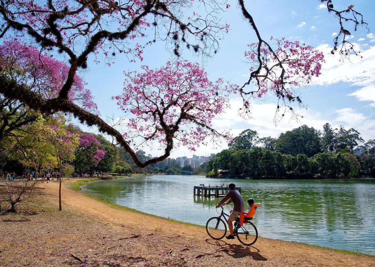São Paulo mang đến những trải nghiệm giàu cảm hứng, nơi mỗi bước chân đều bắt gặp một nhịp sống mới của Brazil hiện đại