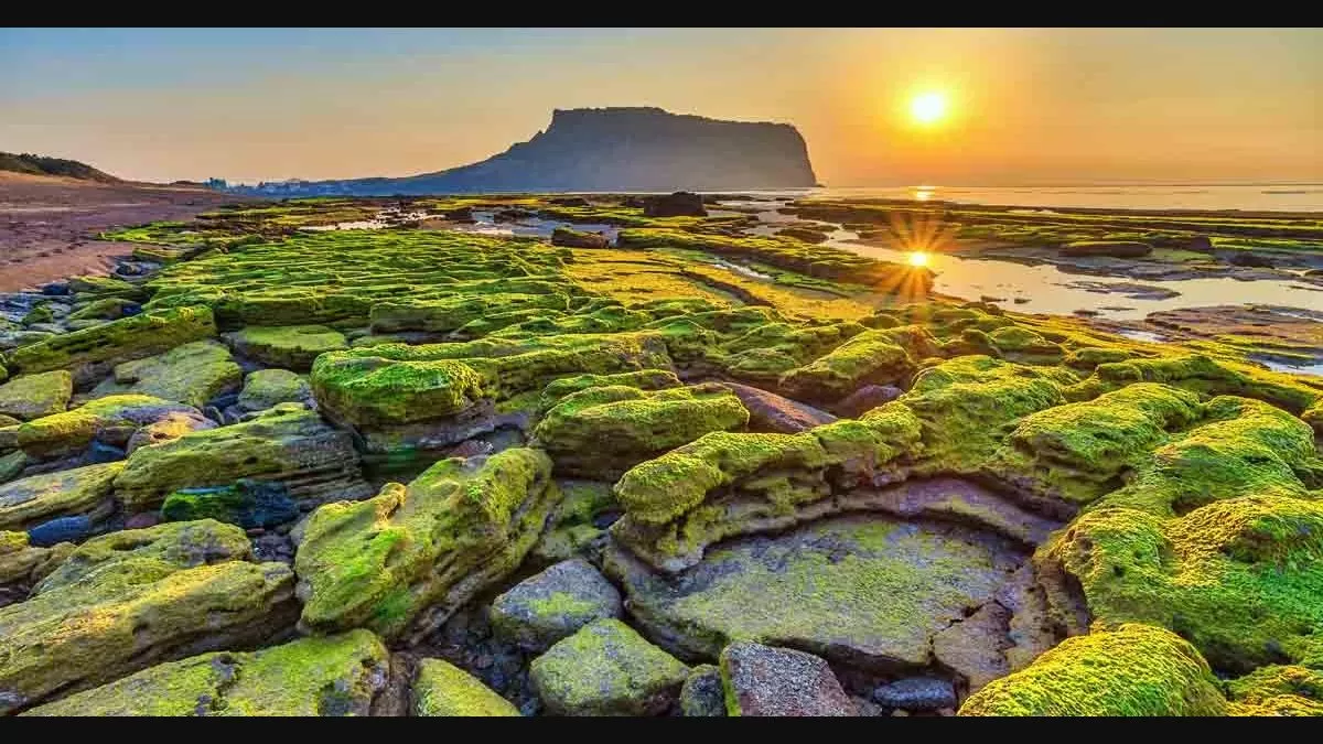 Hành trình khám phá cuộc sống hàng ngày tại Seogwipo - Jeju