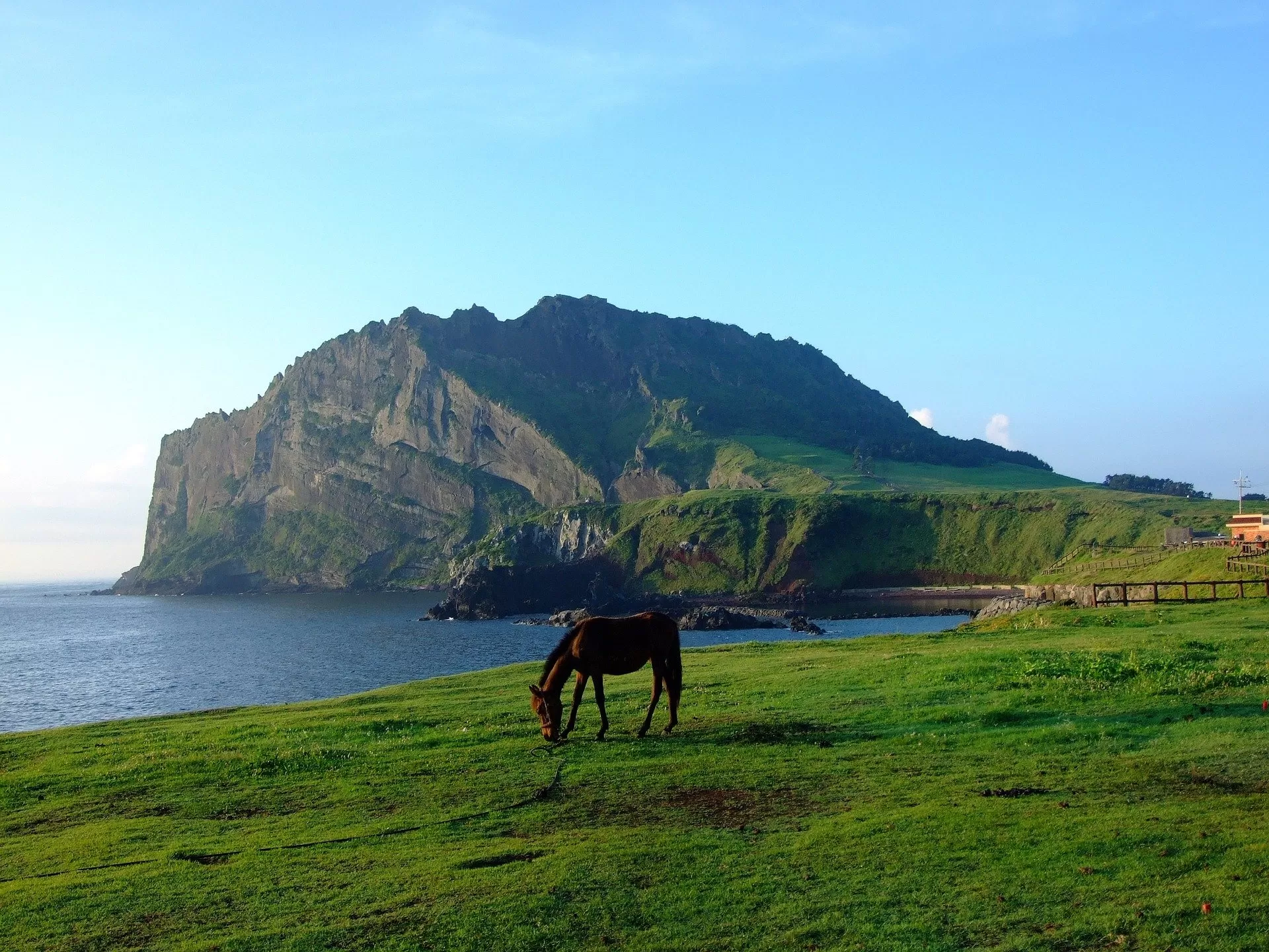 Tận hưởng một Jeju dễ thương và yêu kiều