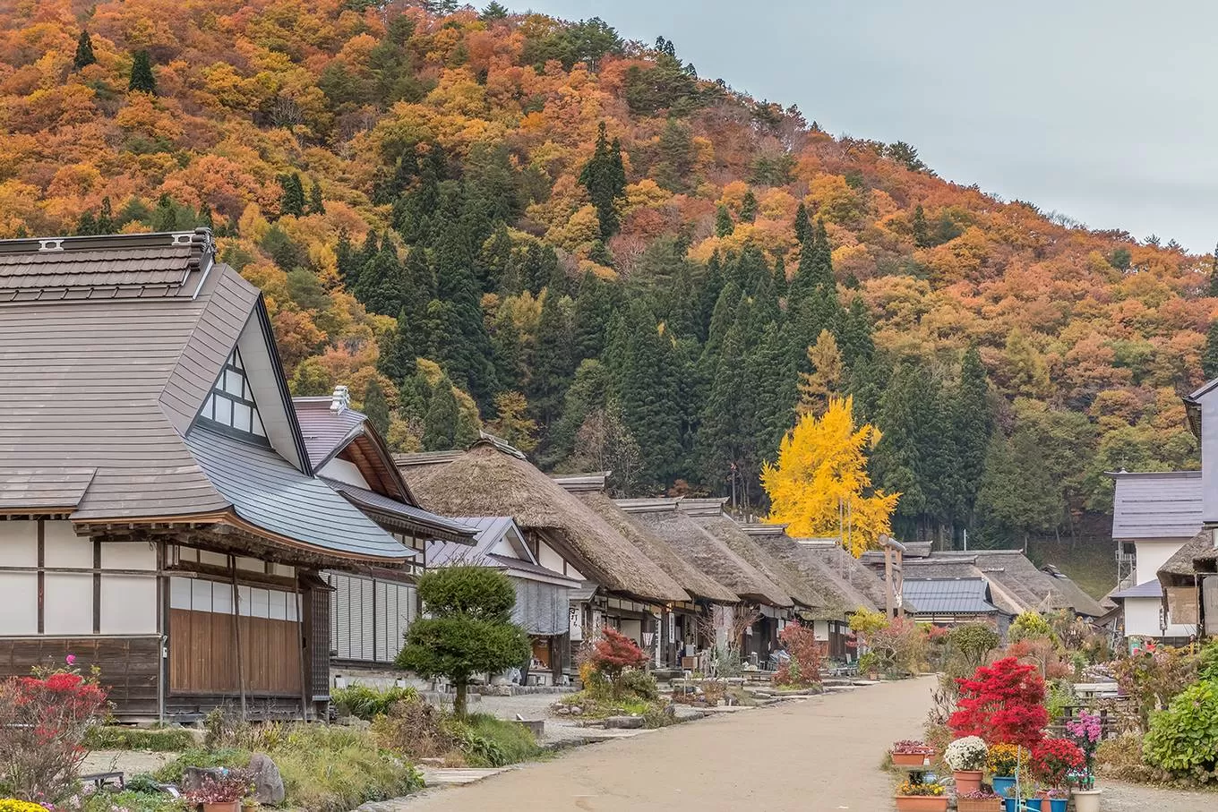 Fukushima - Mảnh đất của những nụ cười