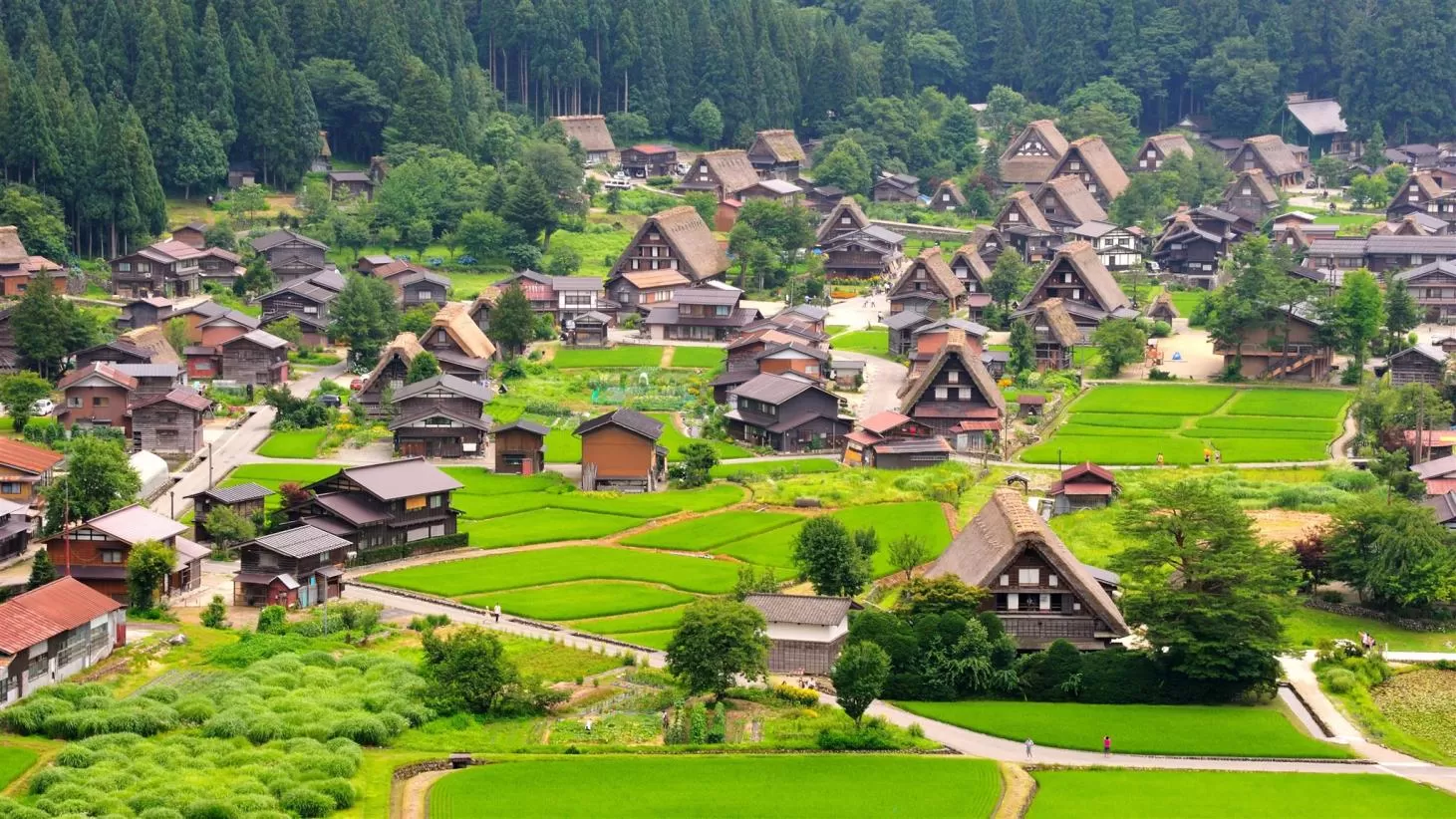 Điểm đến Gifu - Aichi - Vùng đất đáng sống ở Nhật Bản