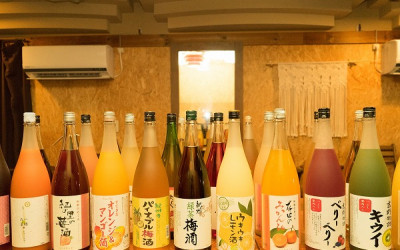 Thưởng thức rượu hoa quả của Nhật Bản