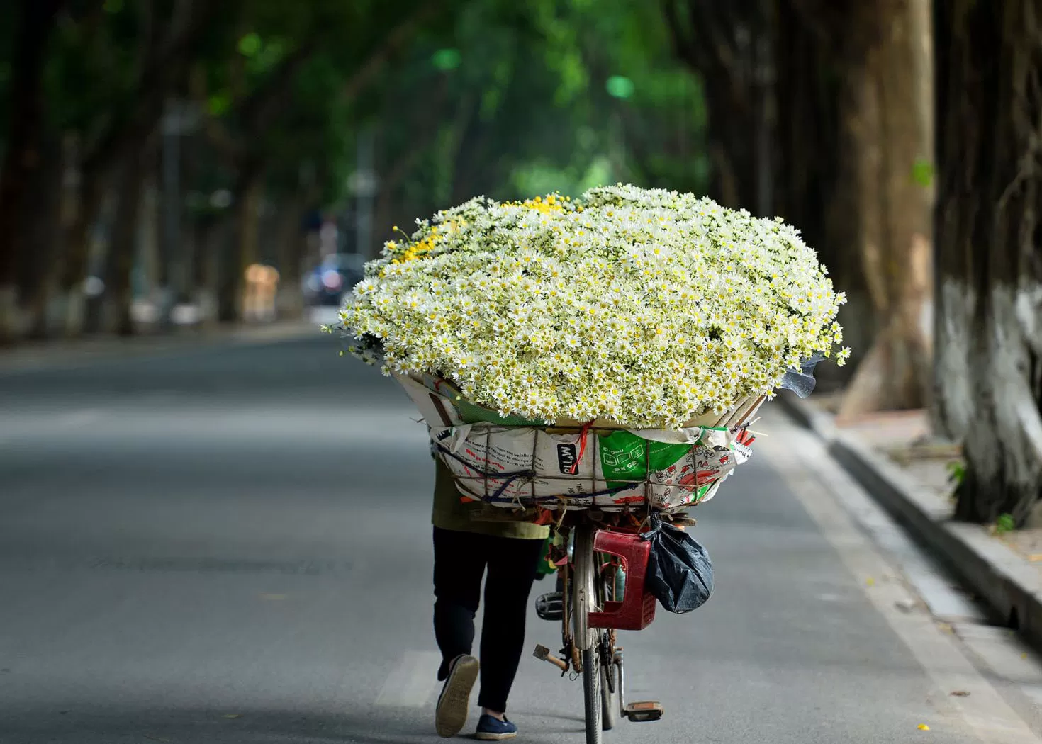 Những mùa hoa tháng 10