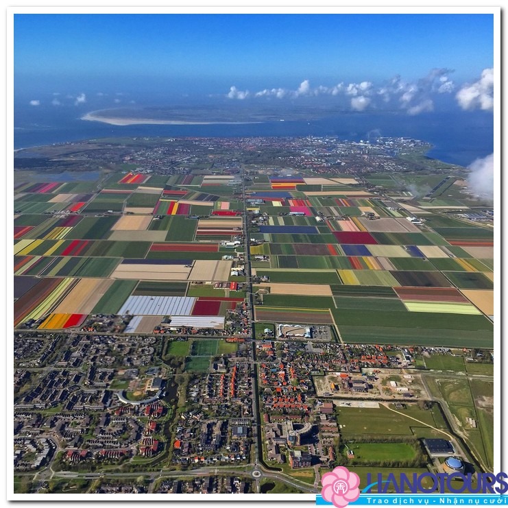Vẻ đẹp cánh đồng hoa Tulip ở Hà Lan 