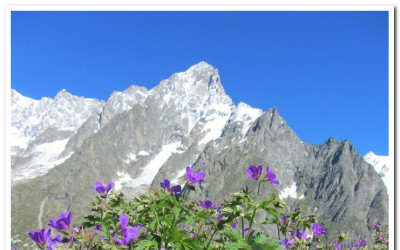 Núi Tour Du Mont Blanc ở Châu Âu (P2)
