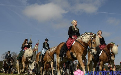 Tham gia lễ hội diễu hành ngựa ở Đức