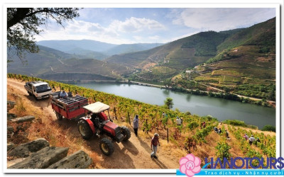 Thăm quan dòng sông Douro ở Châu Âu 