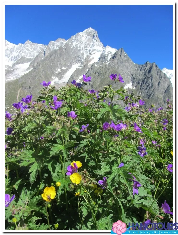 Núi Tour Du Mont Blanc ở Châu Âu (P2)