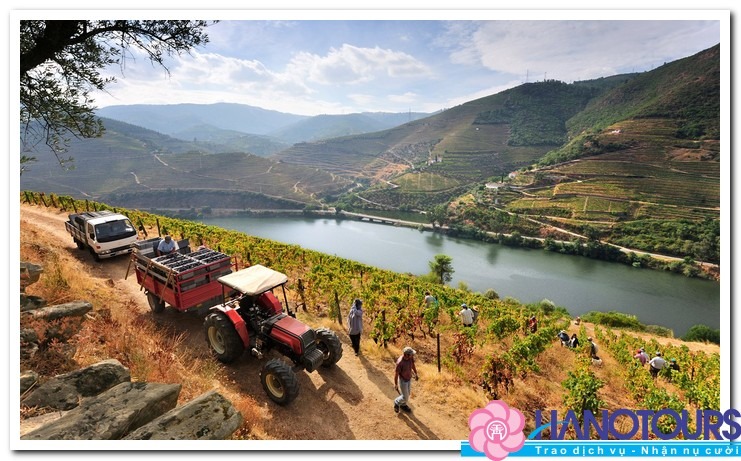 Thăm quan dòng sông Douro ở Châu Âu 