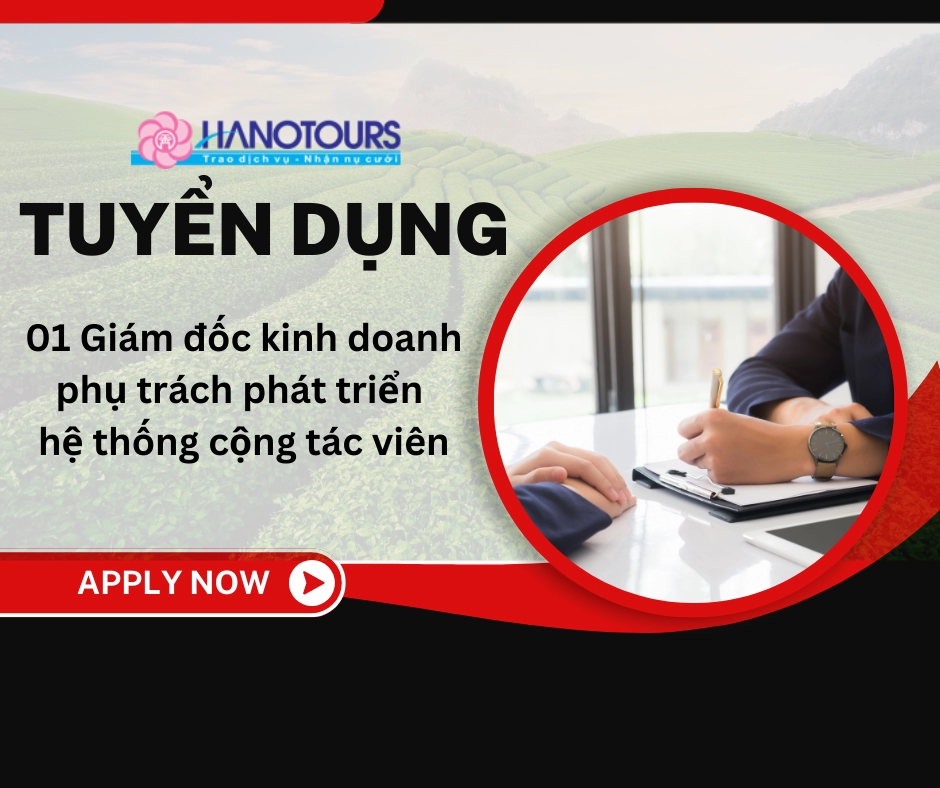Tuyển dụng Giám đốc Kinh doanh phát triển hệ thống cộng tác viên
