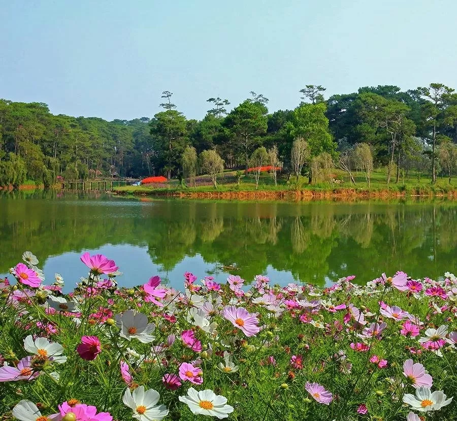 Hội An và Đà Lạt vừa được công nhận danh hiệu thành phố sáng tạo UNESCO