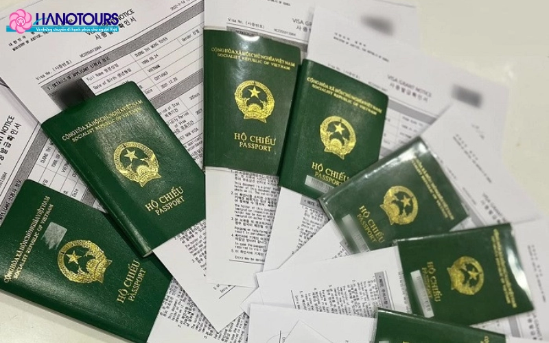 Các loại visa đi Hàn Quốc phổ biến nhất tại Việt Nam [Cập nhật 2025] 