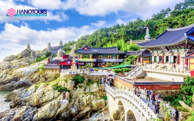 Khám phá du lịch Hàn Quốc tháng 6 với vẻ đẹp cuốn hút
