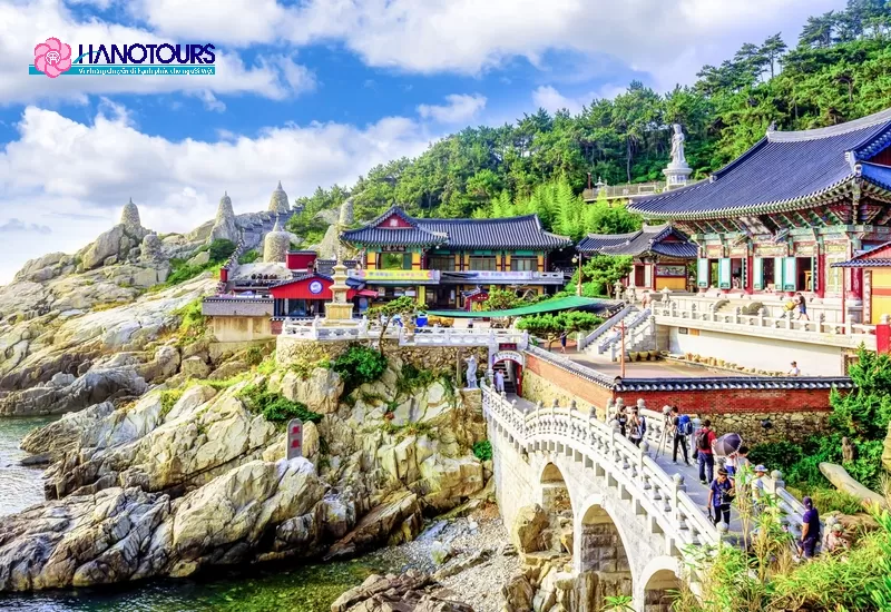 Khám phá du lịch Hàn Quốc tháng 6 với vẻ đẹp cuốn hút