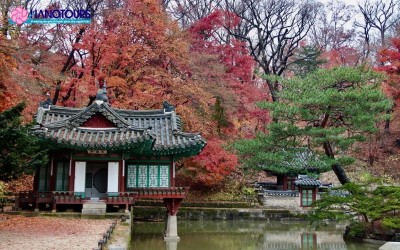 Kinh nghiệm du lịch Hàn Quốc tháng 10 khám phá vẻ đẹp xứ Hàn