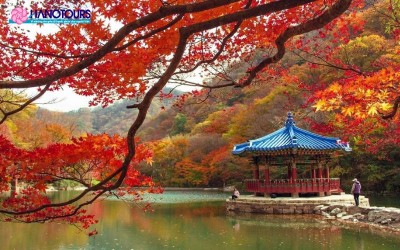 Du lịch Hàn Quốc tháng 9 du khách tham gia nhiều lễ hội độc đáo, thú vị
