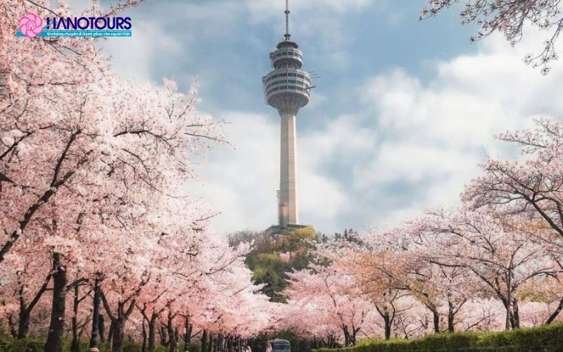 Khám phá Tháp NamSan điểm đến du lịch hấp dẫn tại Seoul