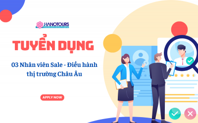 Tuyển dụng 03 Nhân viên Sale - Điều hành thị trường Châu Âu