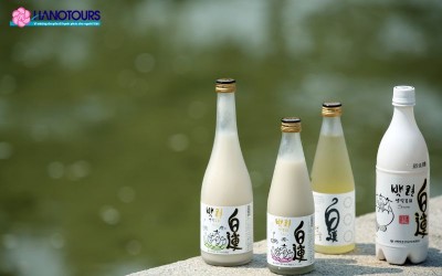 Makgeolli là gì? Tất tần tật về rượu gạo Makgeolli