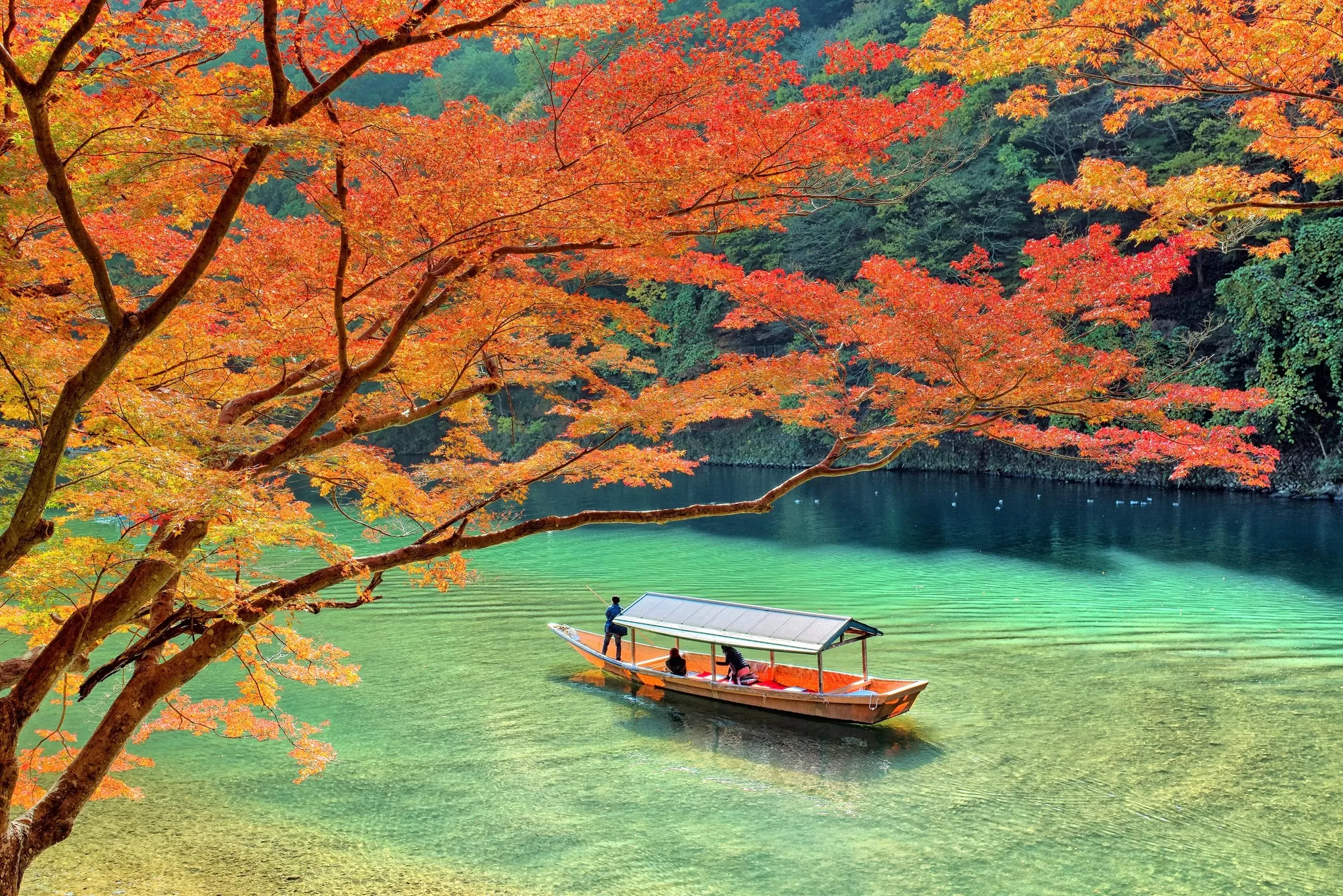 Mùa lá đỏ Nhật Bản - Địa điểm, tips chụp ảnh