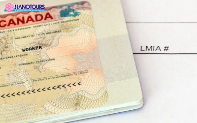 Tổng hợp các loại visa Canada phổ biến nhất 2025
