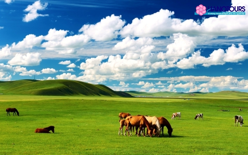 Top 6 thảo nguyên của Trung Quốc bạn không thể bỏ qua