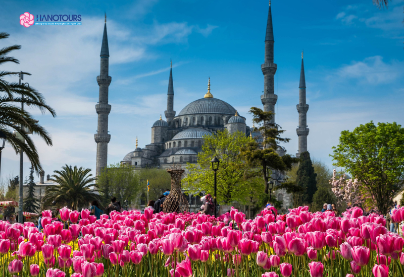 Check-in Blue Mosque Thổ Nhĩ Kỳ: Thánh Đường Xanh Tuyệt Mỹ Của Istanbul