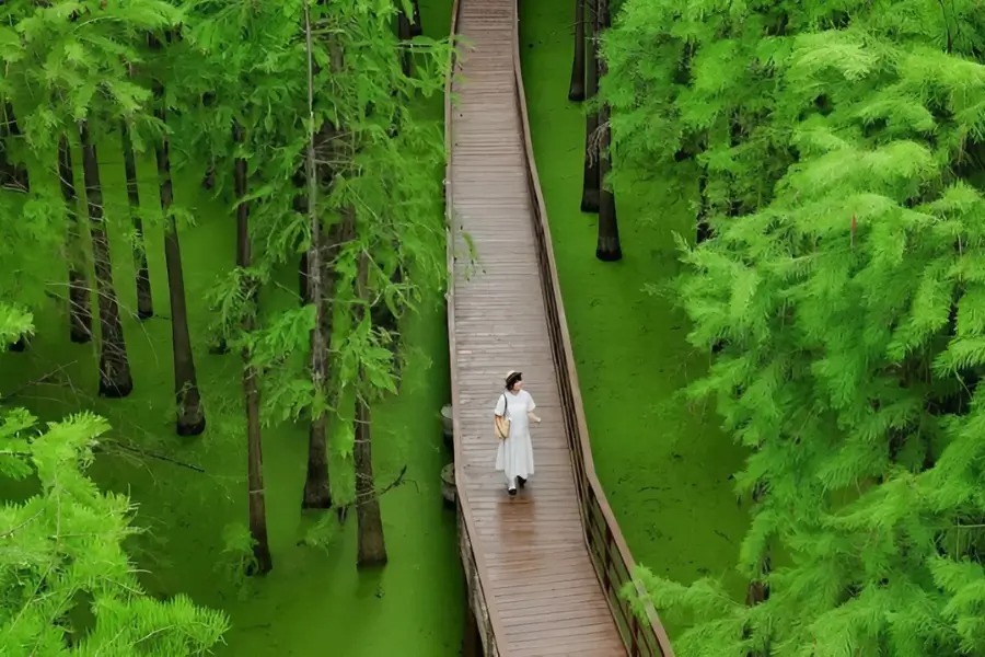 Đầm Thanh Sơn Hàng Châu Trung Quốc