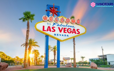 Las Vegas thuộc bang nào của Mỹ? Các địa điểm du lịch nổi bật