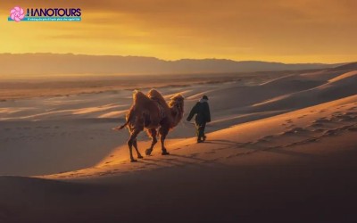 Sa Mạc Gobi: Hành trình khám phá vẻ đẹp hoang sơ