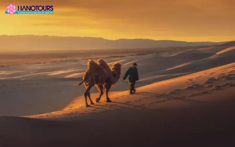 Sa Mạc Gobi: Hành trình khám phá vẻ đẹp hoang sơ