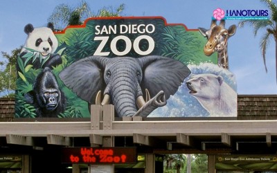 Du lịch San Diego - Khám phá thành phố biển tuyệt đẹp