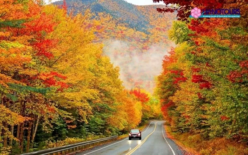 Mùa thu nước Mỹ - Thời điểm vàng để du lịch xứ cờ hoa