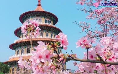 Du lịch Trung Quốc tháng 3 đi đâu? Top 7 điểm đến hấp dẫn