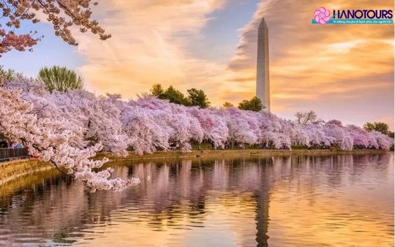 Du lịch Mỹ tháng 4: Gợi ý lịch trình khám phá mùa xuân nước Mỹ