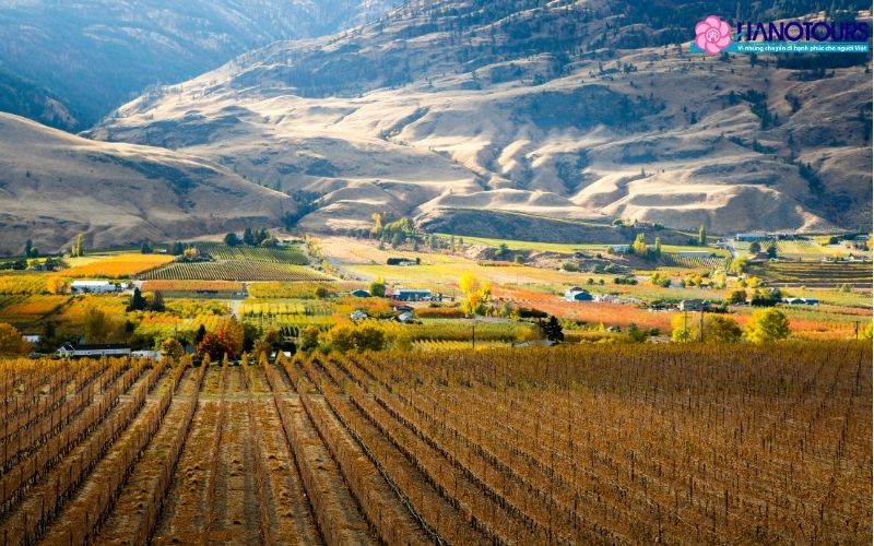 Du lịch Canada tháng 10: Top 5 điểm đến ngắm lá phong nổi tiếng