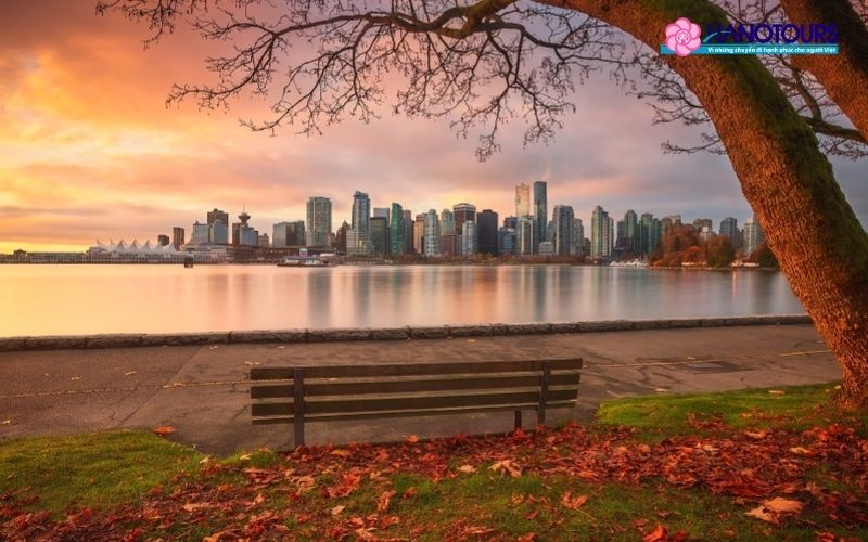 Du lịch Vancouver: Khám phá thành phố cảng hiện đại hàng đầu Canada