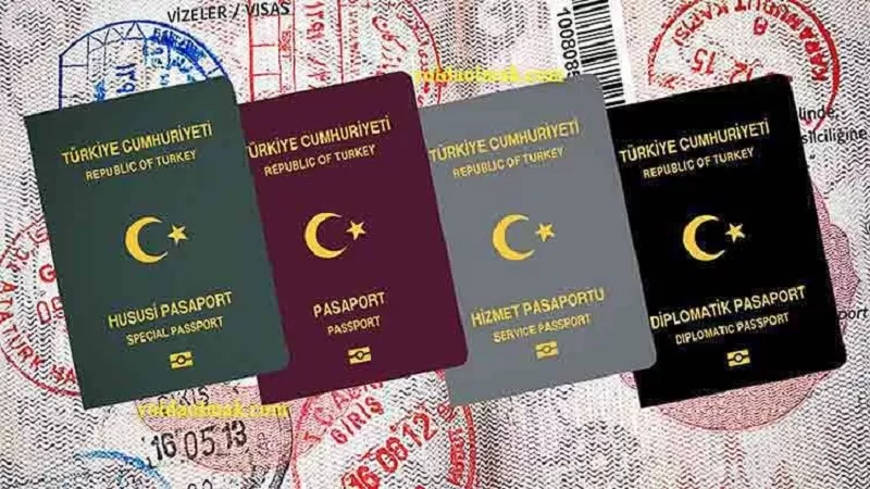Phân biệt E-Visa và Visa dán Thổ Nhĩ Kỳ: Bạn thuộc diện nào?