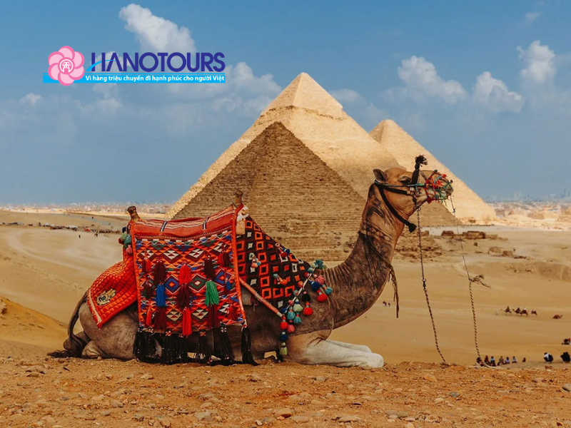 Bí ẩn Kim Tự Tháp Giza và Nhân Sư: Những điều bạn chưa biết khi đến tham quan