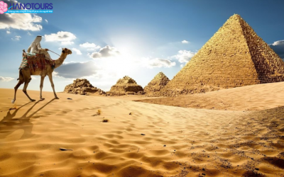 Lỗi thường gặp khi điền tờ khai E-Visa Ai Cập khiến bạn bị từ chối nhập cảnh