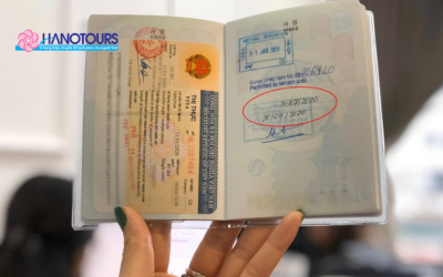 Visa dán truyền thống và E-visa Nga: Nên chọn loại nào?