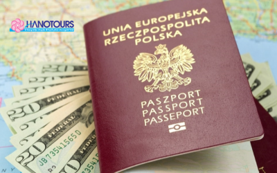 Hướng dẫn điền tờ khai trực tuyến xin E-visa Nga chi tiết