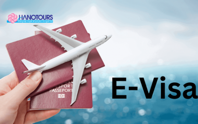 E-visa Nga: Cách xin visa Nga online chỉ trong 4 ngày