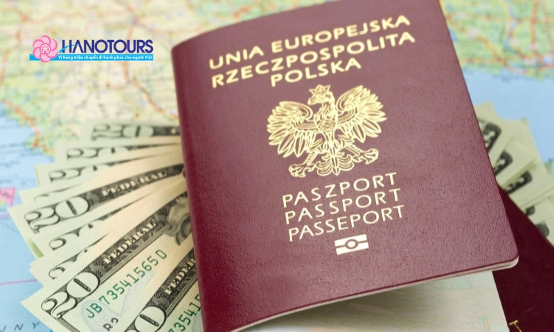 Hướng dẫn điền tờ khai trực tuyến xin E-visa Nga chi tiết