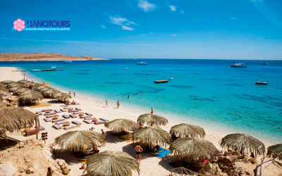 Biển Đỏ rực rỡ: Thiên đường lặn biển tại Hurghada