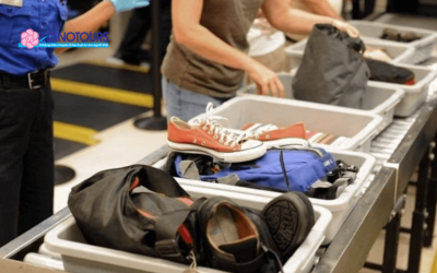 Cần chuẩn bị gì khi đi qua cửa hải quan lần đầu?